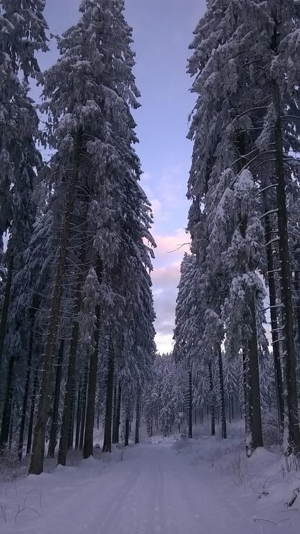 Waldpension Harzer Waldwinkel Бад-Ґрунд Екстер'єр фото