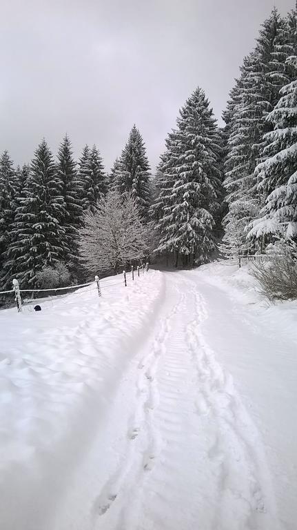 Waldpension Harzer Waldwinkel Бад-Ґрунд Екстер'єр фото