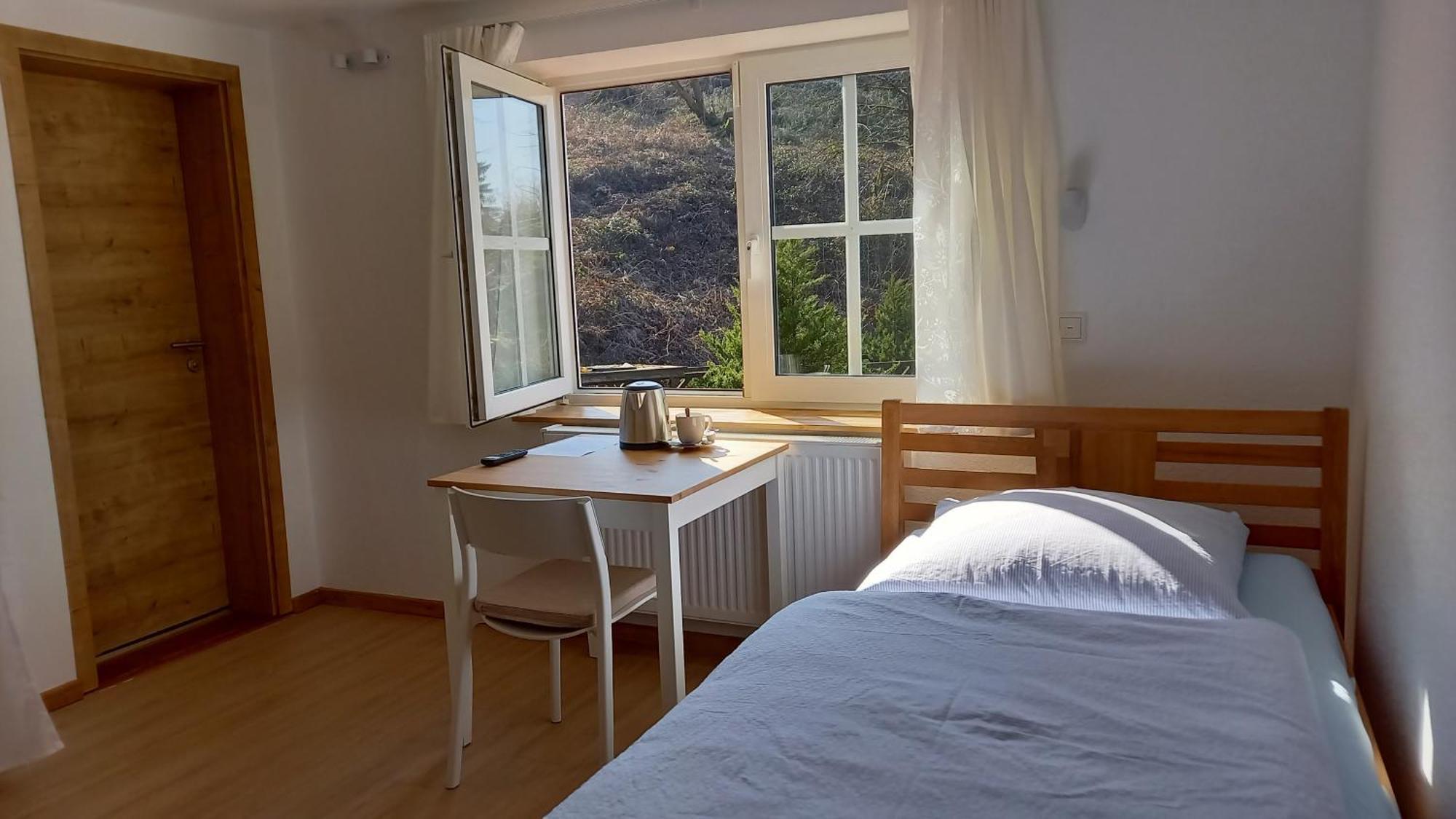 Waldpension Harzer Waldwinkel Бад-Ґрунд Номер фото
