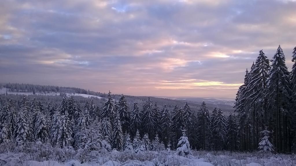 Waldpension Harzer Waldwinkel Бад-Ґрунд Екстер'єр фото